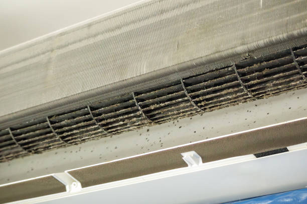 Best Affordable Air Duct Cleaning  in Wharton, TX